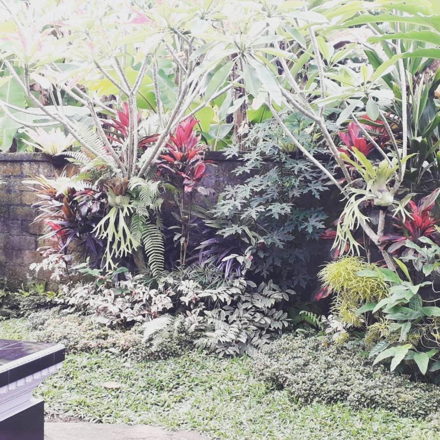 D'sari Undisan Homestay *