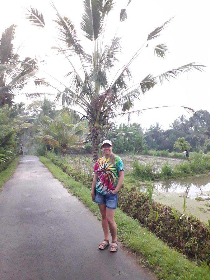 D'sari Undisan Homestay *
