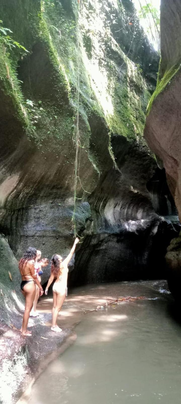 Homestay D'sari Undisan Bangli